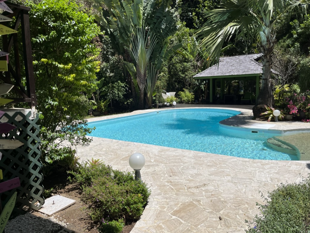 Le jardin et la piscine